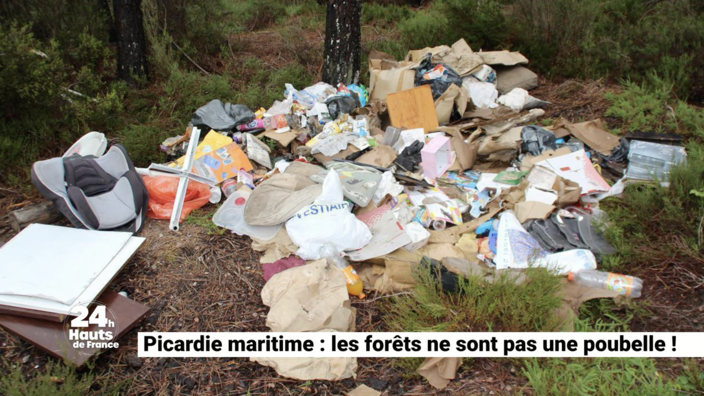 Picardie maritime : les forêts ne sont pas une poubelle !